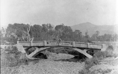 ANZAC Memorial Bridge